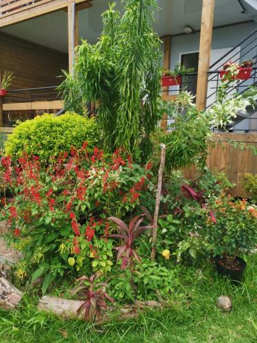 G�te Holidays Mon Repos