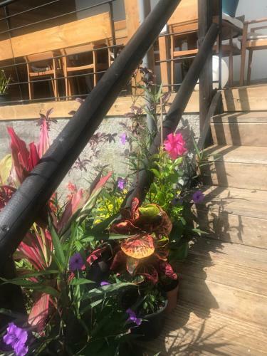 G�te Holidays Mon Repos