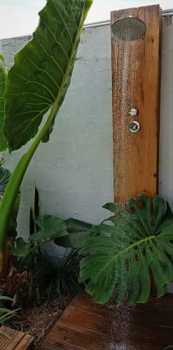 Apartamento Fleur De Passion