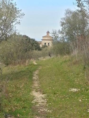 Le Rose Apartment Spoleto