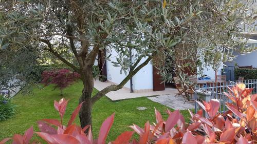 Apartamento Villa Villacolle
