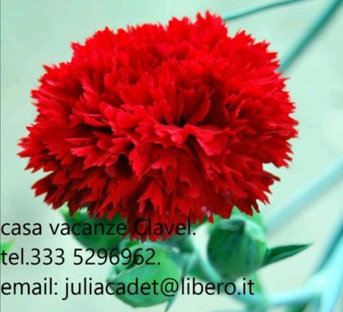 Apartamento Casa Vacanza Clavel
