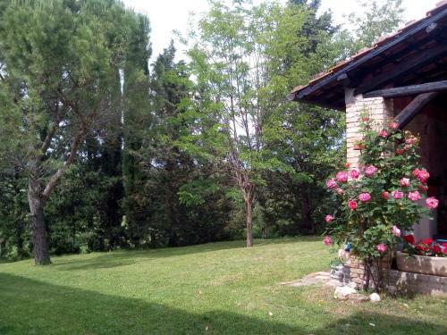 Agroturismo Colle Cornetto