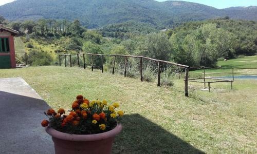 Agroturismo Colle Cornetto