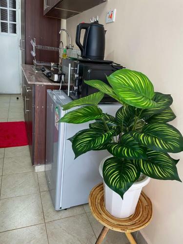 Elegant And Cozy Studio Apartment In Nairobi Ruaka