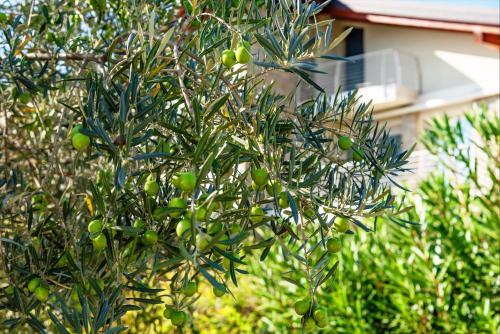 Apartamento Casa Di Alex | Sirmione