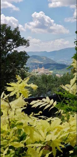 Apartamento Colleulivo