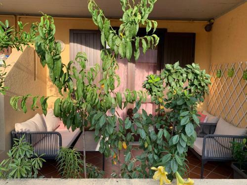 Apartamento Casanova Sirmione