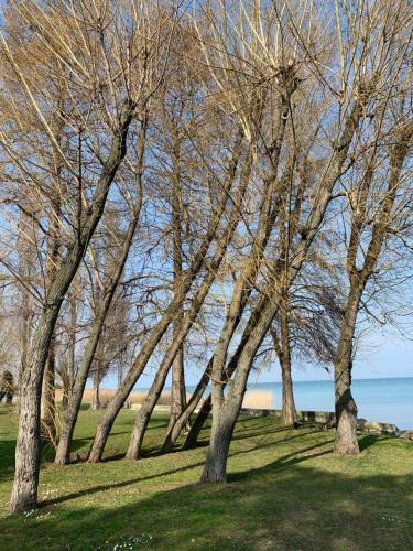 Apartamento Casanova Sirmione
