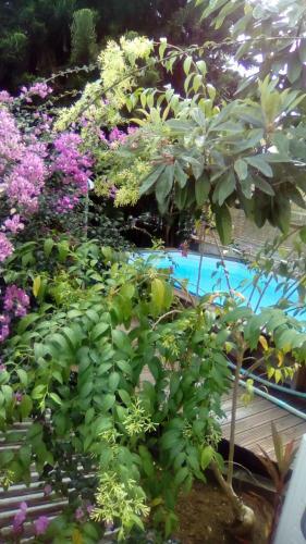 Le Frangipanier Villa Avec Piscine