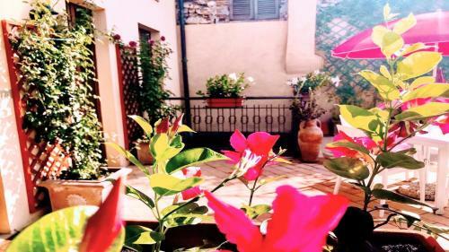 Apartamento Spoleto Bellasleeps 4 - 3