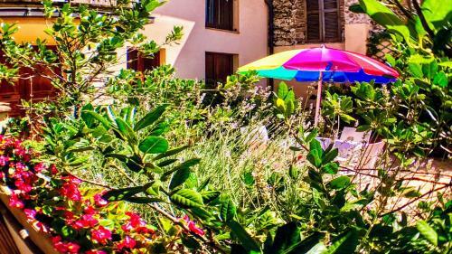 Apartamento Spoleto Bellasleeps 4spoletocar Not Necessary
