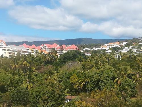 Apartamento Beau Studio Bourbon Vue Mer Et Montagne