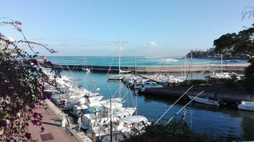 Apartamentos Black Pearl