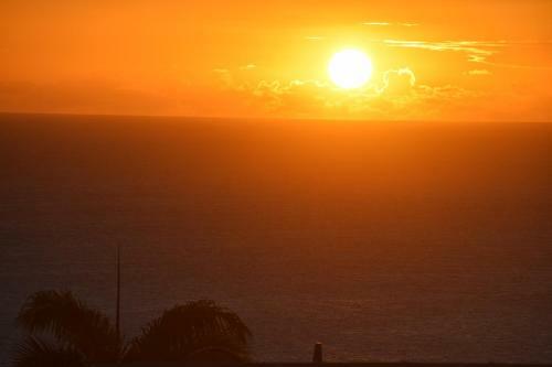 Apartamento Blue Palms
