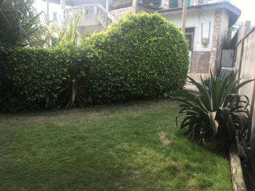 Bed & Breakfast Orakel Beach Lodge