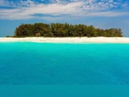 Ras Nungwi Breezes