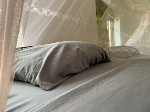 Hostal Borderlands Guest House