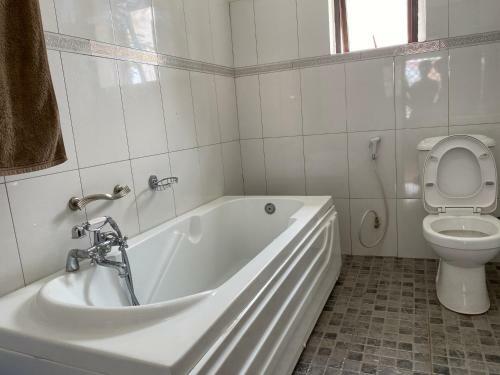 Hostal Borderlands Guest House