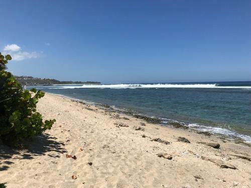 Villa 'corail Bleu' Les Pieds Dans L'eau
