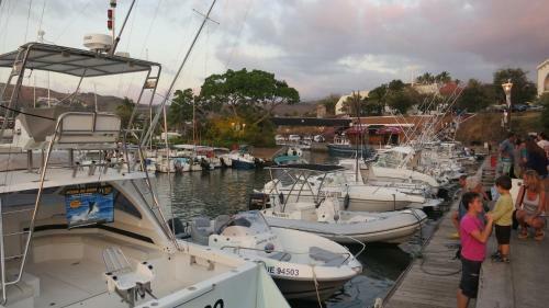 Apartamento Baliste Jardin de Corail