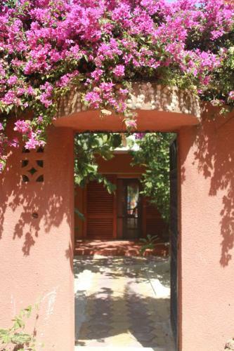 Hostal La Maison Chocolat