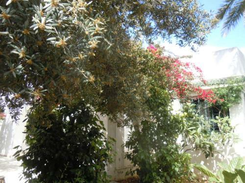 House With Wala Garden