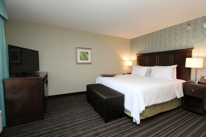 Hotel Hampton Inn & Suites By Hilton St. John's Airport