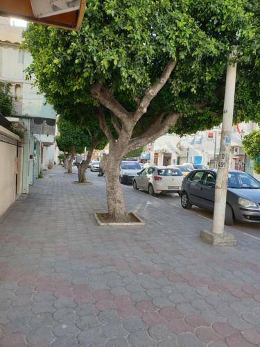 Apartamento Studio Hafsya Hammamet