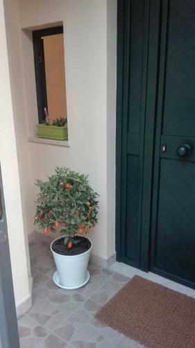 Il Cancelletto