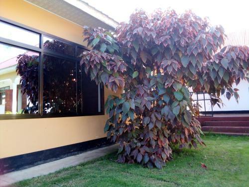Hotel Centre House Hostel