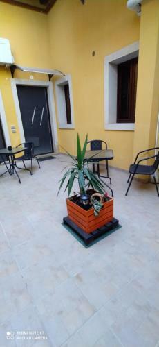 Apartamento Come A Casa