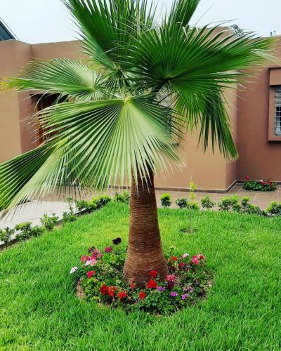 Apartamento Tamraght House Banana