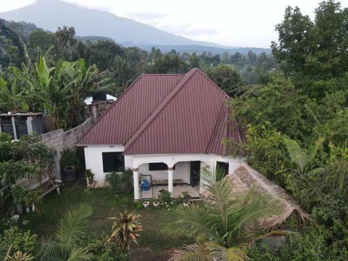Bed & Breakfast New Dream House