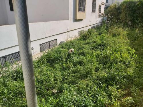 Apartamento Ideal Appart Ain Zaghouan Tunis
