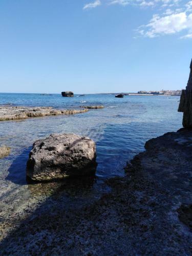 Apartamento Dionisea