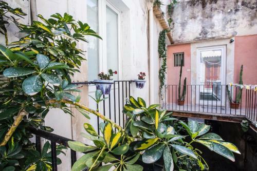 Apartamento Duomo Al Mare