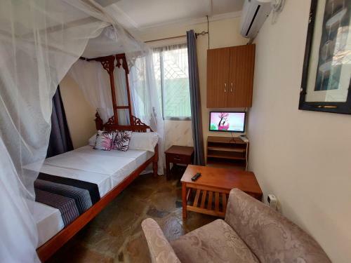 Studio Terrace Apartment-amarossi Rhino