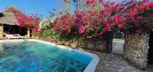 Apartamento Pwani House Villas