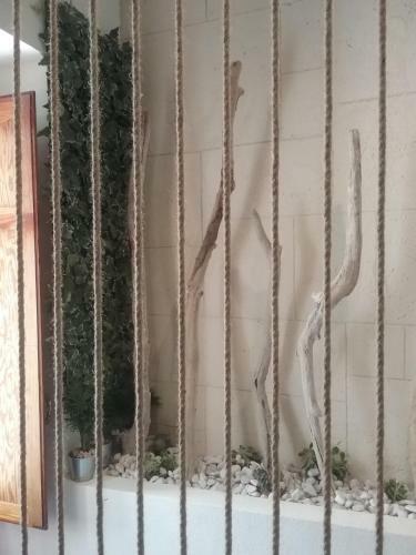 The Rope