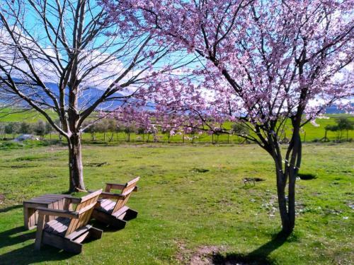 Hostal Ferme D?h�te La Vall�e