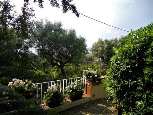 Villa Le Olivine