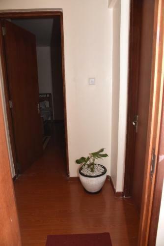 Karen View Palace Apartments