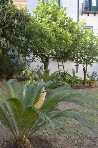 William Apartment Sorrento