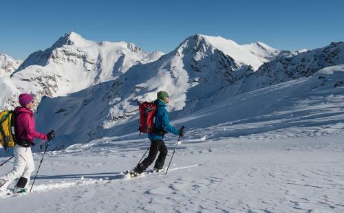 Stilfser H�uschen Mit Blick Auf K�nig Ortler