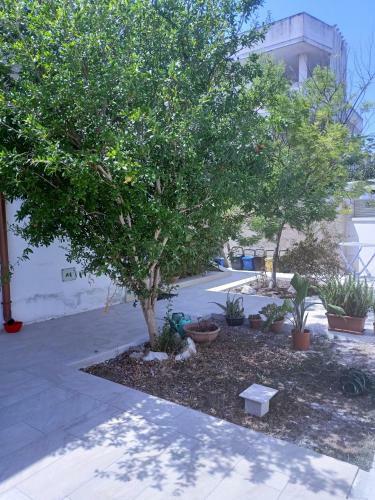 Apartamento Casa Alessandra