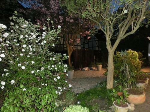 Beautiful Apartment In Hamelin With Garden