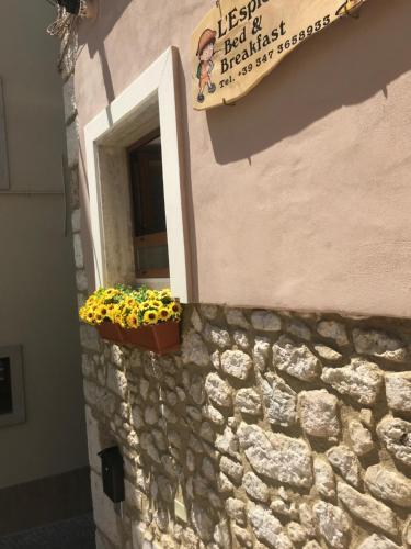 Bed & Breakfast L' Esploratore - Intera Struttura -