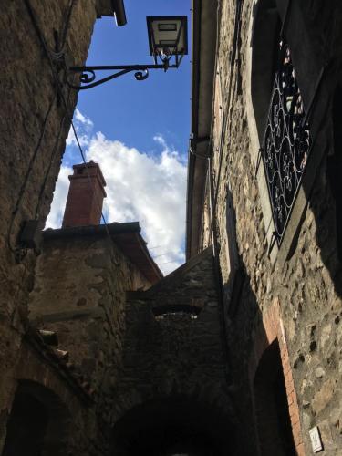 Il Capriolo