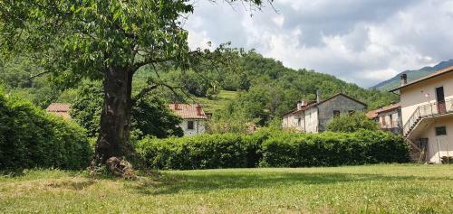 Il Capriolo